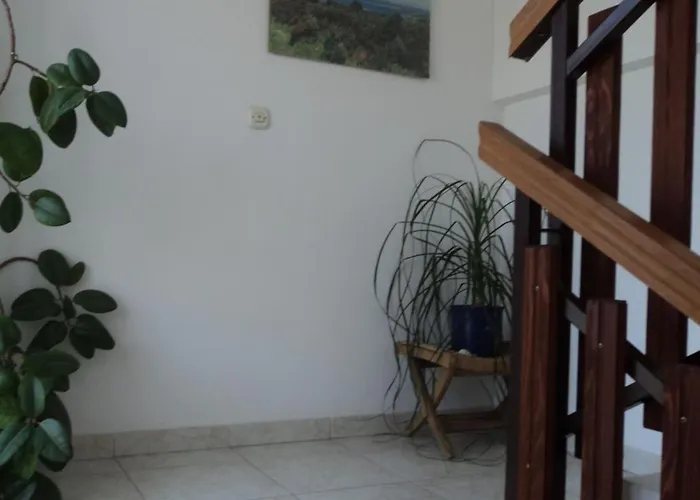 Apartments Vera